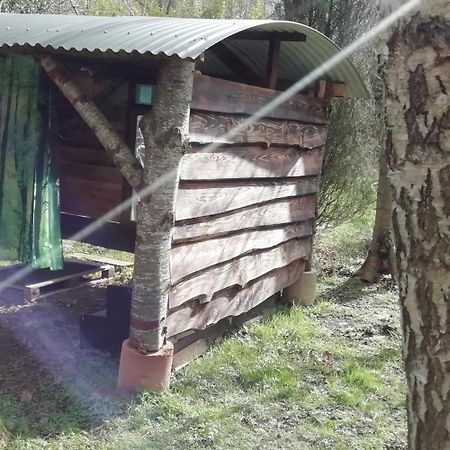 Sapphire Forest Garden Shepherd'S Hut Church Stretton Ngoại thất bức ảnh