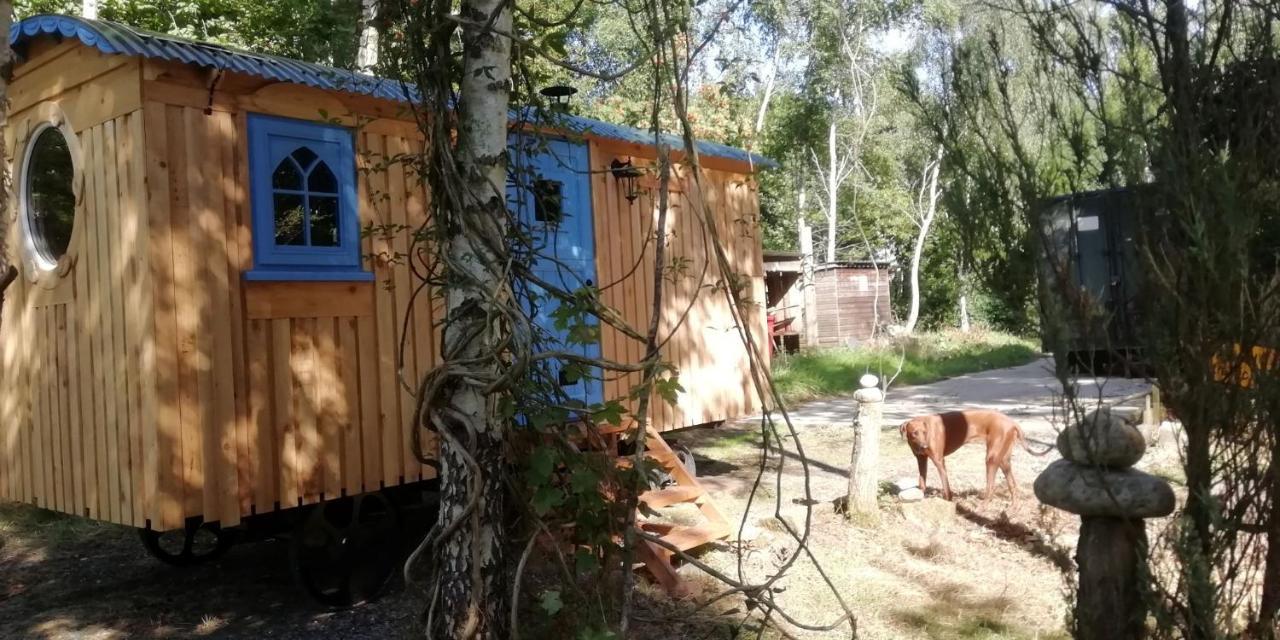 Sapphire Forest Garden Shepherd'S Hut Church Stretton Ngoại thất bức ảnh