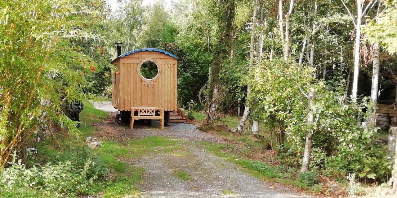 Sapphire Forest Garden Shepherd'S Hut Church Stretton Ngoại thất bức ảnh