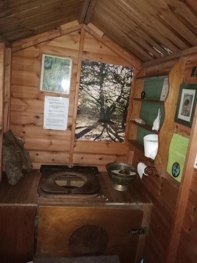 Sapphire Forest Garden Shepherd'S Hut Church Stretton Ngoại thất bức ảnh